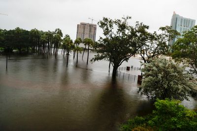 Tampa Bay area gets serious flooding but again dodges a direct hit from a major hurricane.