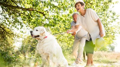 Trainer shares seven of her favorite loose leash walking tips so you can stride it out with zero stress