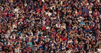 Newcastle Knights daring to dream of seasons sold out in advance