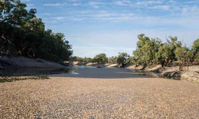 Menindee mass fish deaths symptomatic of degradation of river ecosystem, NSW chief scientist says