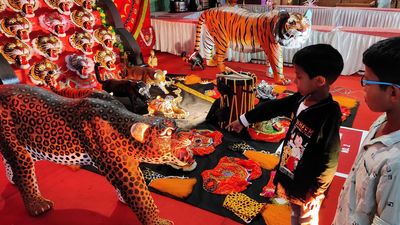 ‘Tigers’ set to descend on Thrissur on Friday