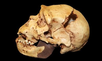 Population collapse almost wiped out human ancestors, say scientists