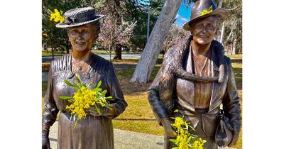 The dames celebrate spring, Floyd visits Lanyon and schools go yellow for Wattle Day