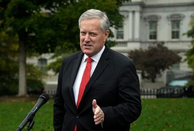 Meadows "in big trouble" after DA filing