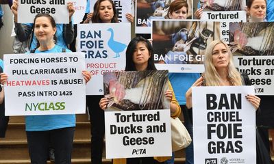 New York City and state fight over foie gras ban