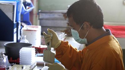 Most avian flu outbreaks in India reported from post-monsoon to pre-summer season: study
