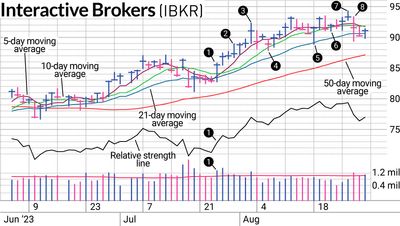 Why IBKR Stock Got Held During A Correction