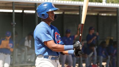 Cubs outfield prospect Alexander Canario overcomes injuries to earn September call-up