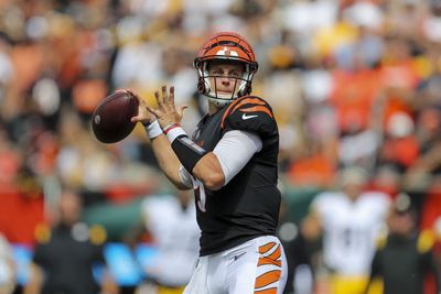 Bengals stress ‘good plan’ for Joe Burrow’s return from injury