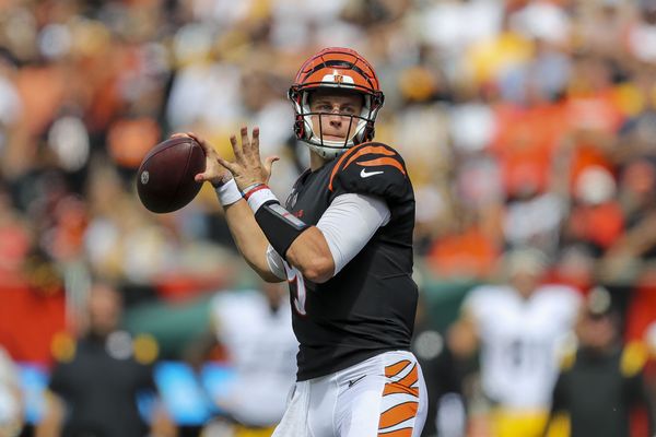 Cincinnati Bengals: Joe Burrow Hilariously Posted Old Selfie to Let Fans  Know He's Back From Injury - Sports Illustrated