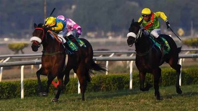 King's Ransom for Idar Gold Trophy