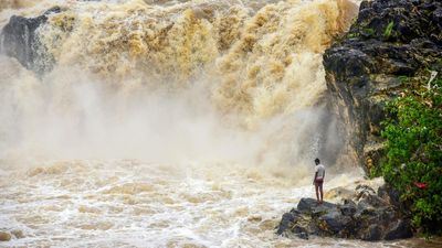 Narmada pollution: NGT directs Dindori collector, NVDA vice chairman to appear before it