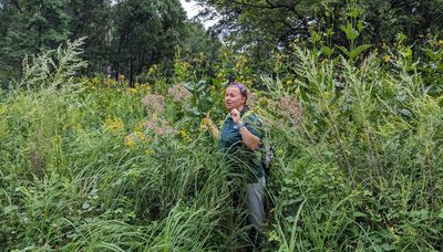 Sleuthing at Cranberry Slough during 60th celebration of Illinois Nature Preserves