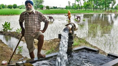 Three-fourths of India’s irrigation sources run on electricity: study