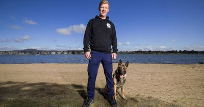 'It's scary': why this ACT canine trainer is sending his dog to South Africa