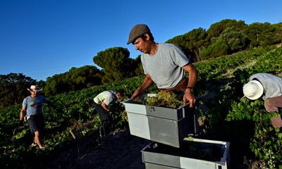 Wonderful whites from southern Spain