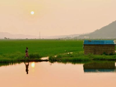 Bardhanara, a village in Assam where only one family lives and has no roads!