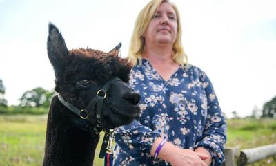 Owner of Geronimo the alpaca says she is still fighting for justice