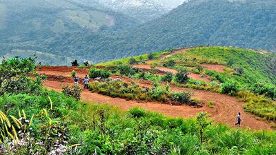 Andhra Pradesh imposes 15-day ban on tourism activities on Gudisa grassland