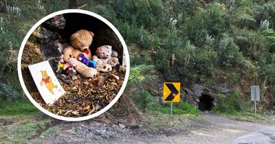 Teddy bears and sign removed from Pooh's Corner