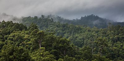 Sharing benefits from the UN's deforestation reduction program remains challenging, here's why
