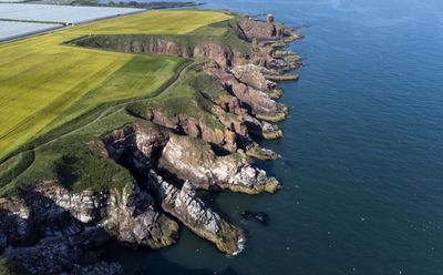 Coastal communities urged to consider bid to become next national park