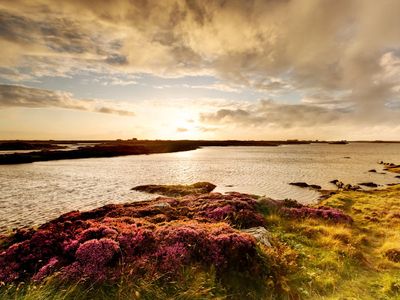 Remote Scottish island offers dream job – with no previous experience needed