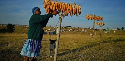 South Africa’s government has been buying land and leasing it to black farmers. Why it’s gone wrong and how to fix it