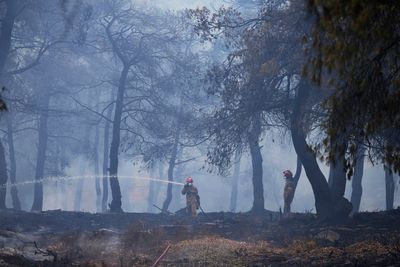 A massive wildfire in northeastern Greece is gradually abating, with over 700 firefighters deployed