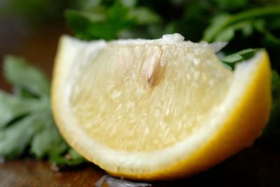 Can you grow a lemon tree from a pip? Biggest gardening questions answered