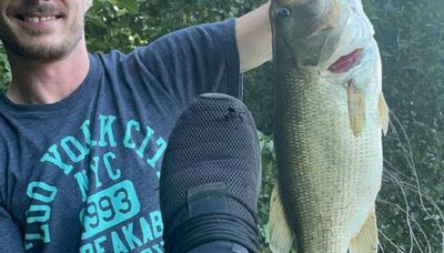 Measuring a big fish by the foot (literally)