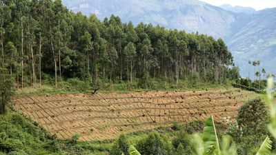 Kerala Revenue dept. issues new order withdrawing reserve forest land status in Idukki village
