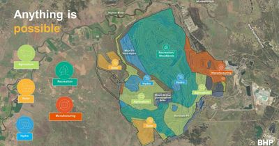 BHP warns Mt Arthur vision is getting harder to achieve