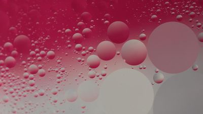 Scientists find elusive Pines’ demon particle after 67 years