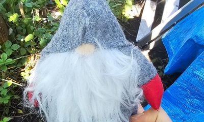 Mystery toy gnomes may be burglary ploy, Welsh police warn