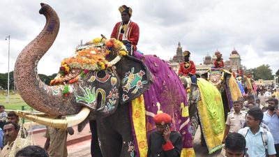Dasara jumbos receive ceremonial reception at Mysore palace