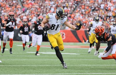 Ex-Steelers TE Zach Gentry is sleeping with the enemy