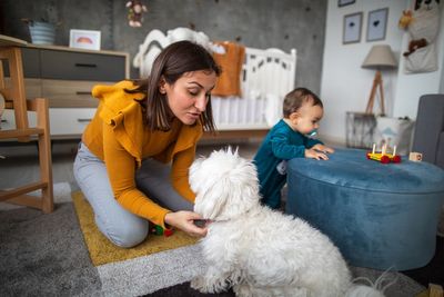‘The Puss in Boots Effect:’ Women use infant-directed speech when addressing dogs with larger eyes