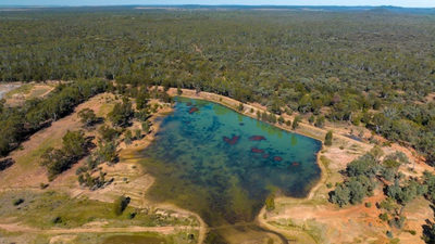 Human Remains Found In Queensland Gemfields Identified As Man Who Went Missing 15 Years Ago