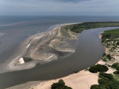 Six billion tonnes of sand are extracted from world’s oceans each year