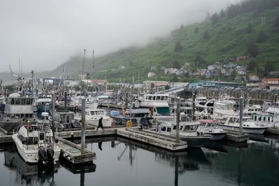 Alaskan fishers fear another bleak season as crab populations dwindle in warming waters