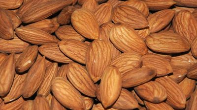 Ahead of Joe Biden visit, India drops tariff hikes on U.S. almonds, lentils