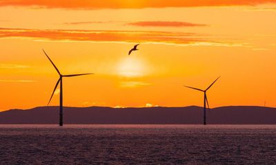 Offshore wind expecting to lose out in auction for UK financial help