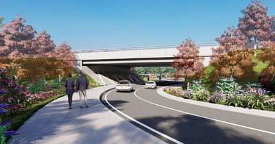 New look at plans for M1 motorway's bridge to the future