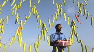 Meet the makers of Chennai’s iconic foods