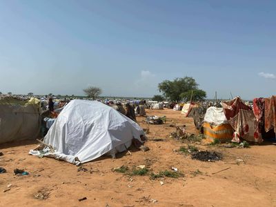 Sudanese refugees in Chad scramble to survive