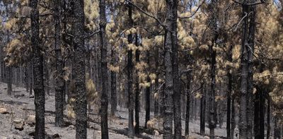 Wildfires have wreaked havoc this summer – these plants were prepared