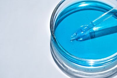 Scientists Just Grew a Solid Human Organ in a Pig for the First Time