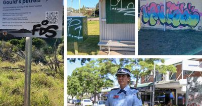'It's really disappointing': police investigate spate of graffiti