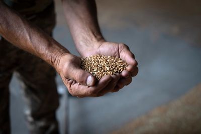 UK to host global food security summit amid Russian blockade of Ukrainian grain